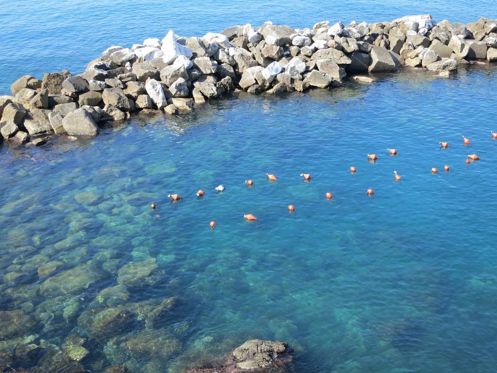Voce Del Mare Daire Riomaggiore Oda fotoğraf